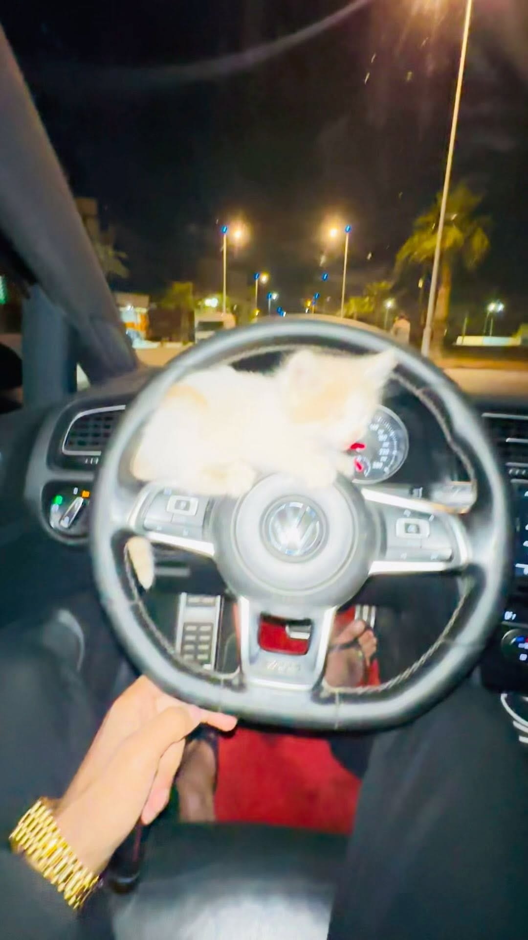 Post 10 by Zakaria Chergui on Instagram (video)