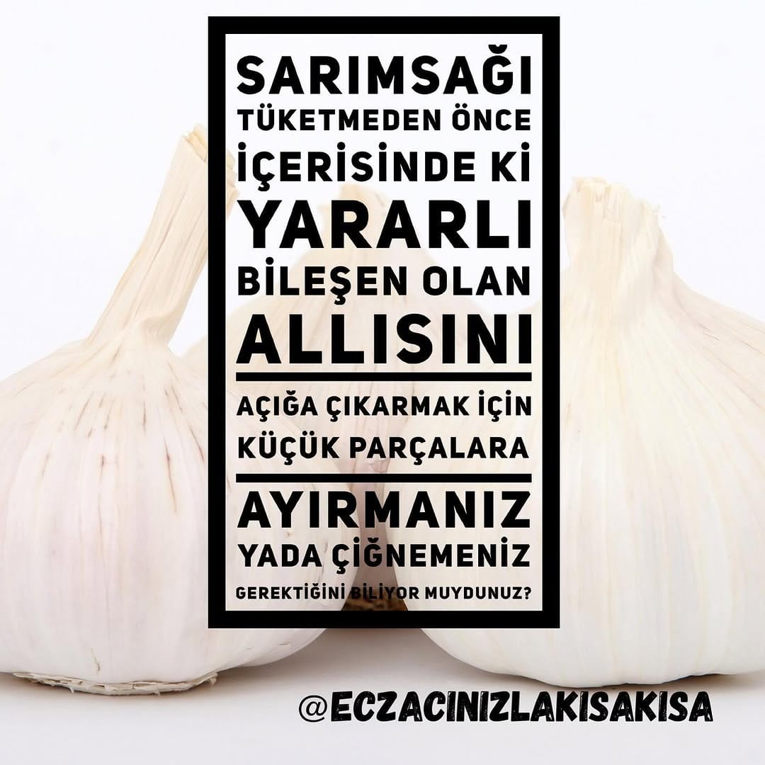 Post 6 by Saadet AKCAN ŞAHİN on Instagram (image)