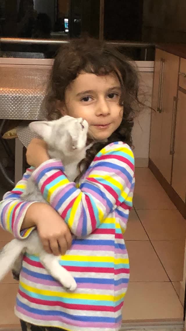 Post 3 by Dr Öğr Üye Tuba Kayan Tapan on Instagram (video)