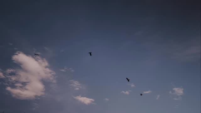 Post 9 by Sagar photography on Instagram (video)