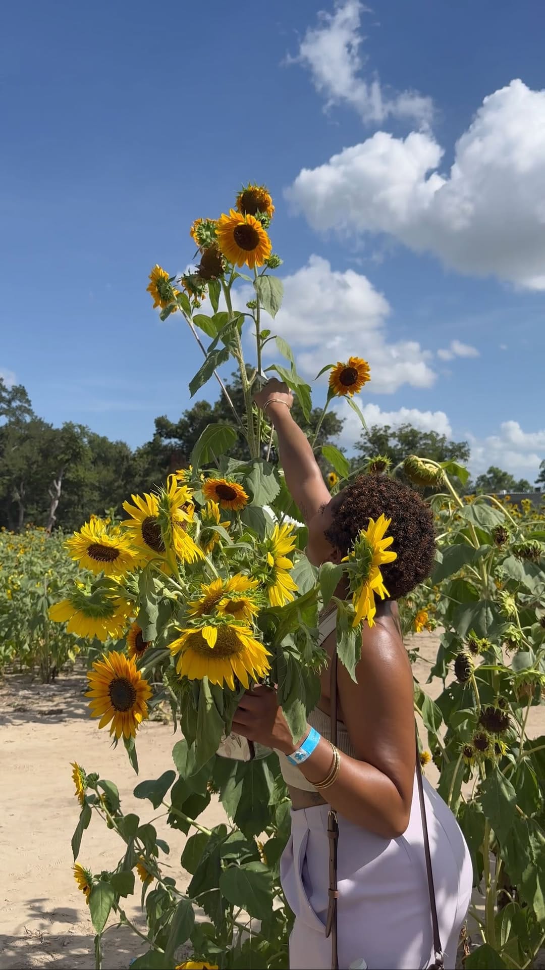 Post 10 by Natural Hair Salon on Instagram (video)