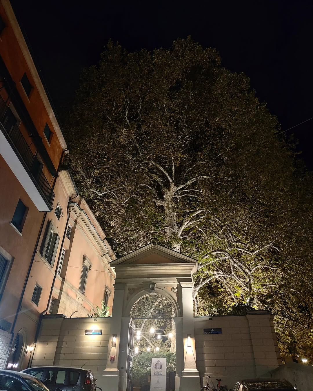 Post 6 by Max Sartelli on Instagram (image)