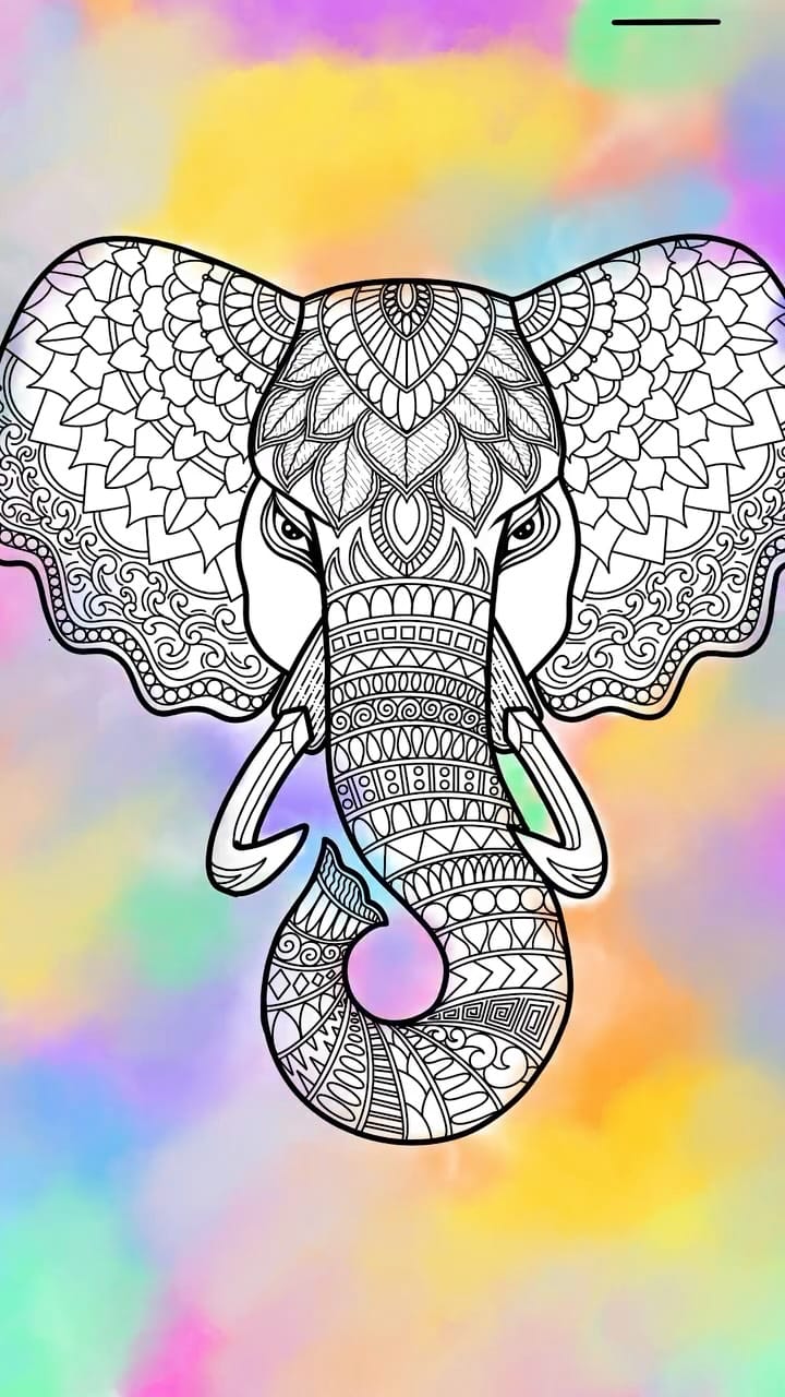 Post 5 by Amrutha Routhu ✨ Mandala Artist ✨ on Instagram (video)