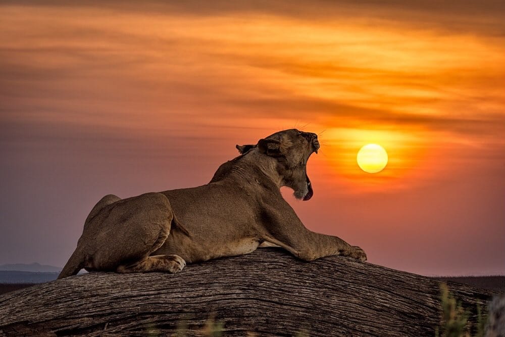 Post 2 by Fabrizio Bignotti. on Instagram (image)