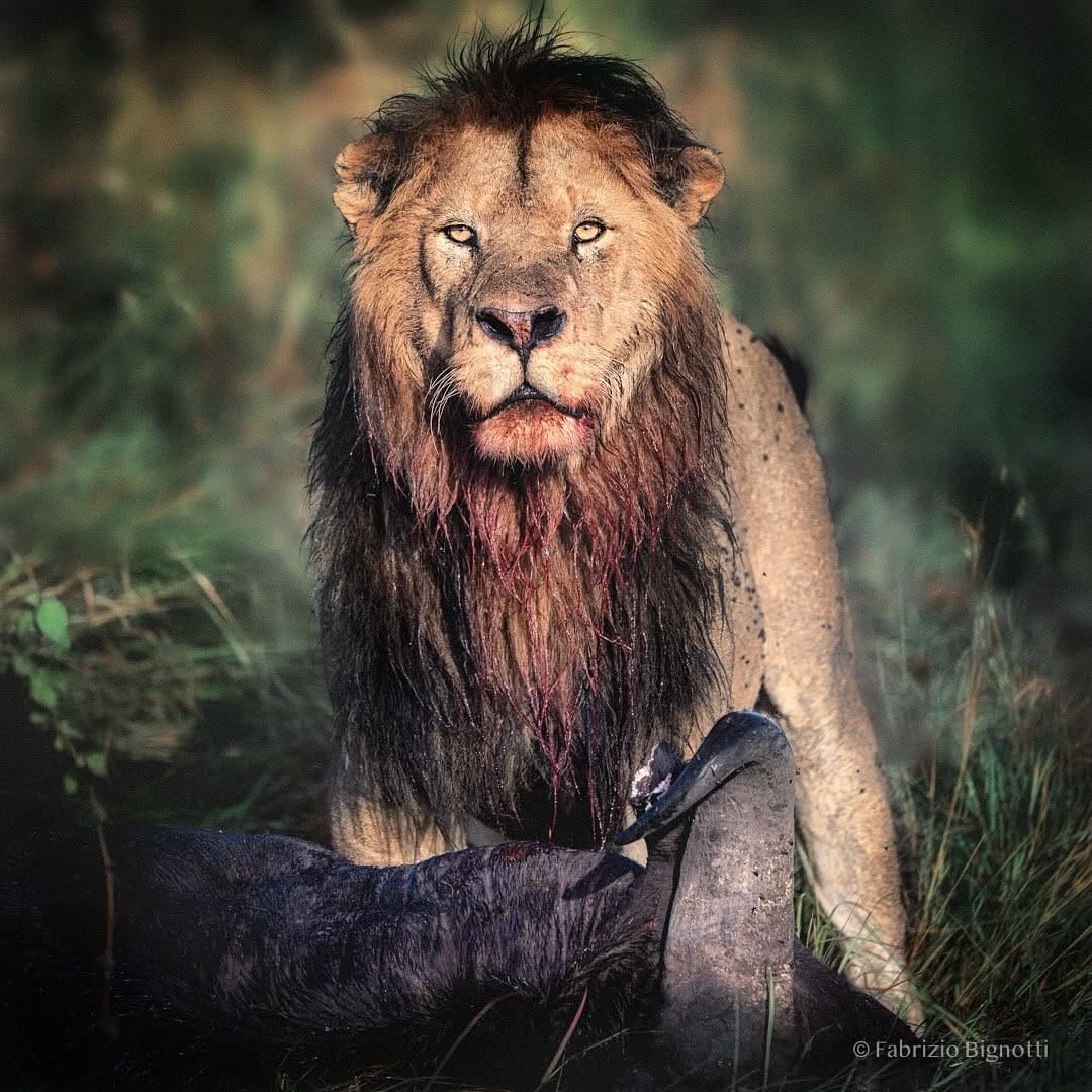Post 3 by Fabrizio Bignotti. on Instagram (image)