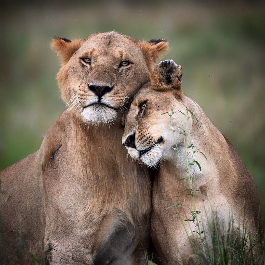 Post 5 by Fabrizio Bignotti. on Instagram (image)
