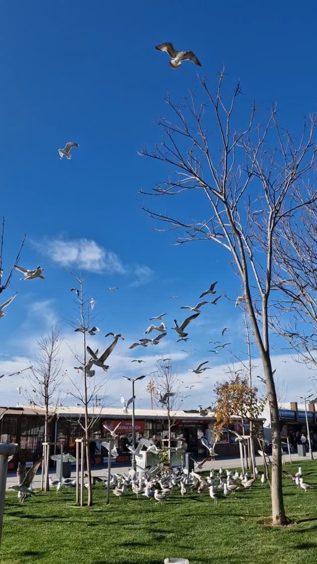 Post 9 by Üلkü... on Instagram (video)