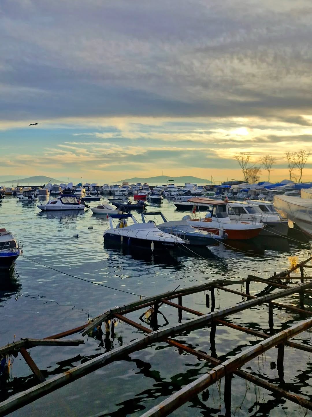 Post 5 by Üلkü... on Instagram (image)