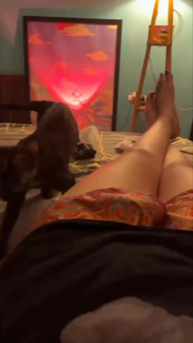Post 3 by JOONA on Instagram (video)