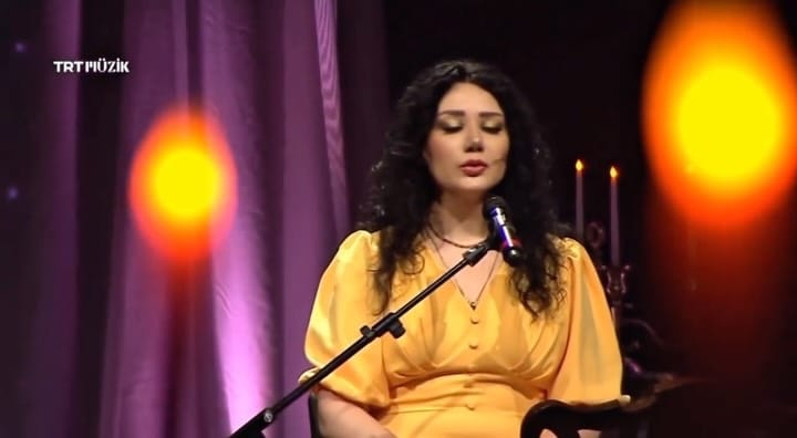 Post 3 by Şennur Dinleyen on Instagram (video)