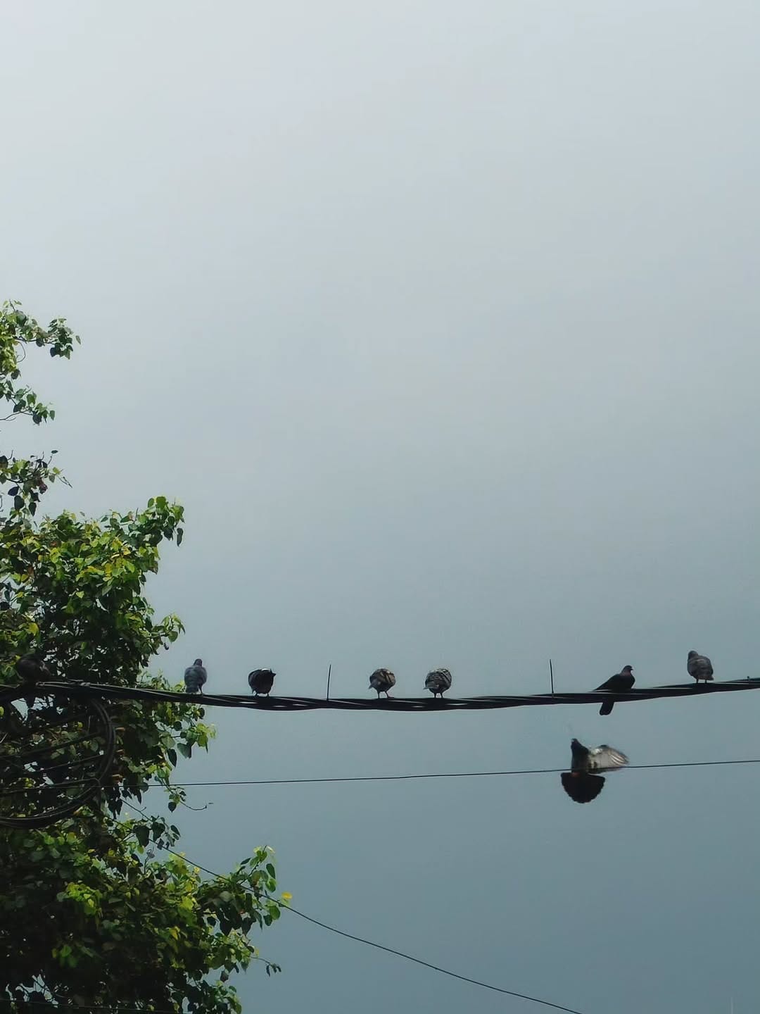 Post 10 by উৎসলীনা on Instagram (carousel)