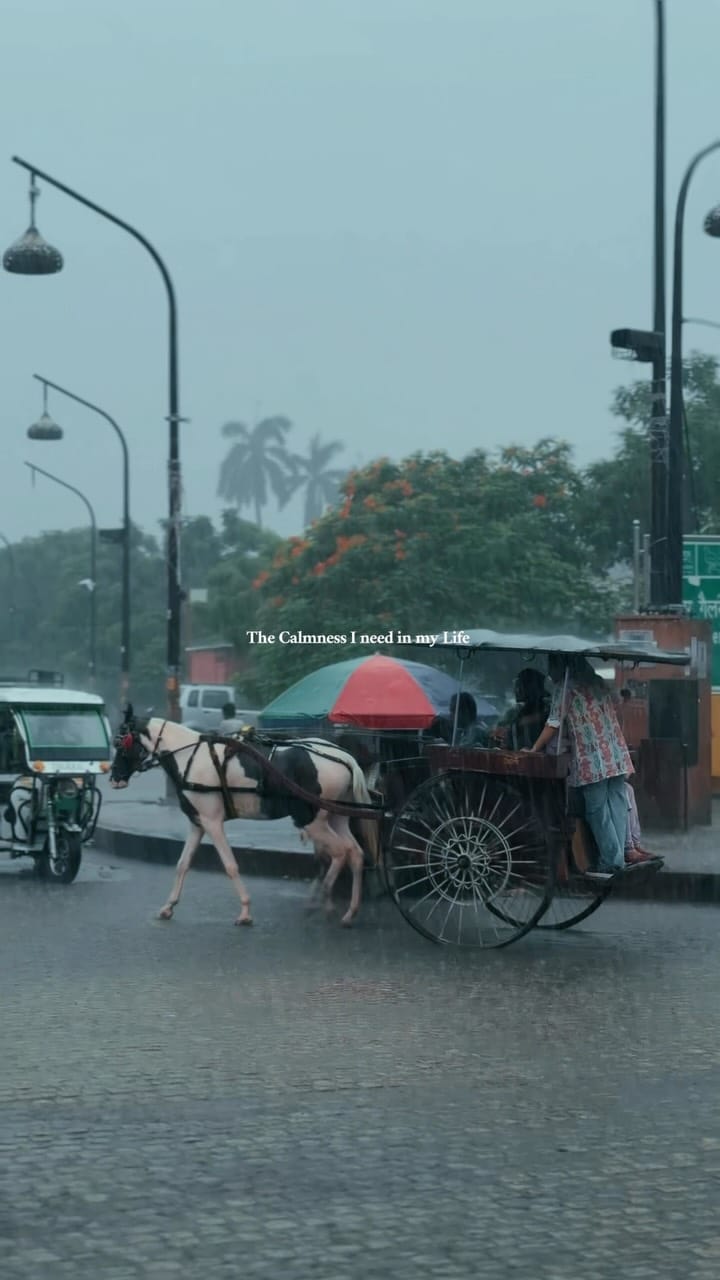 Post 4 by Avesh Khan on Instagram (video)