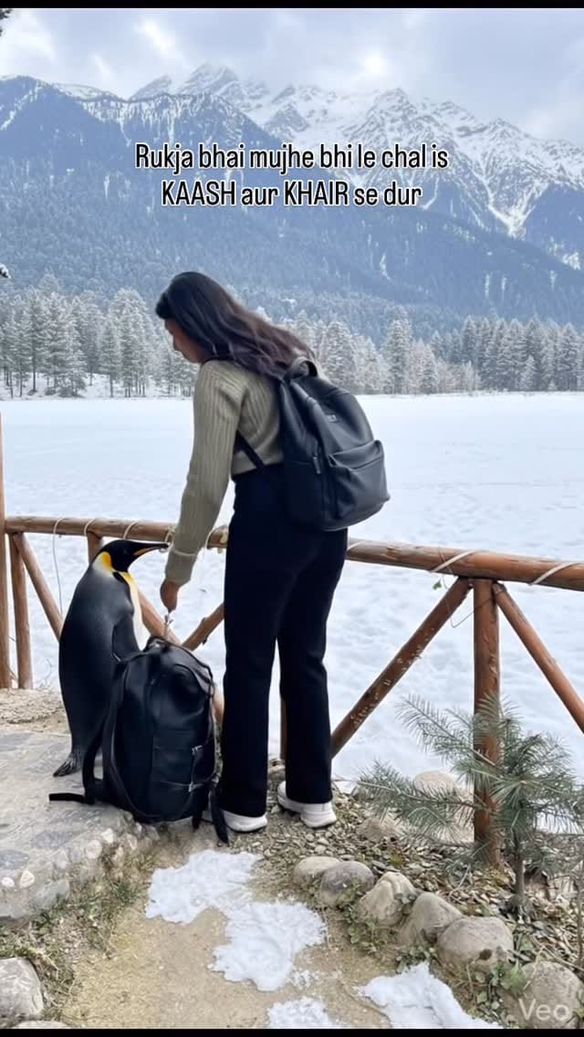 Post 6 by Darshikagupta on Instagram (video)