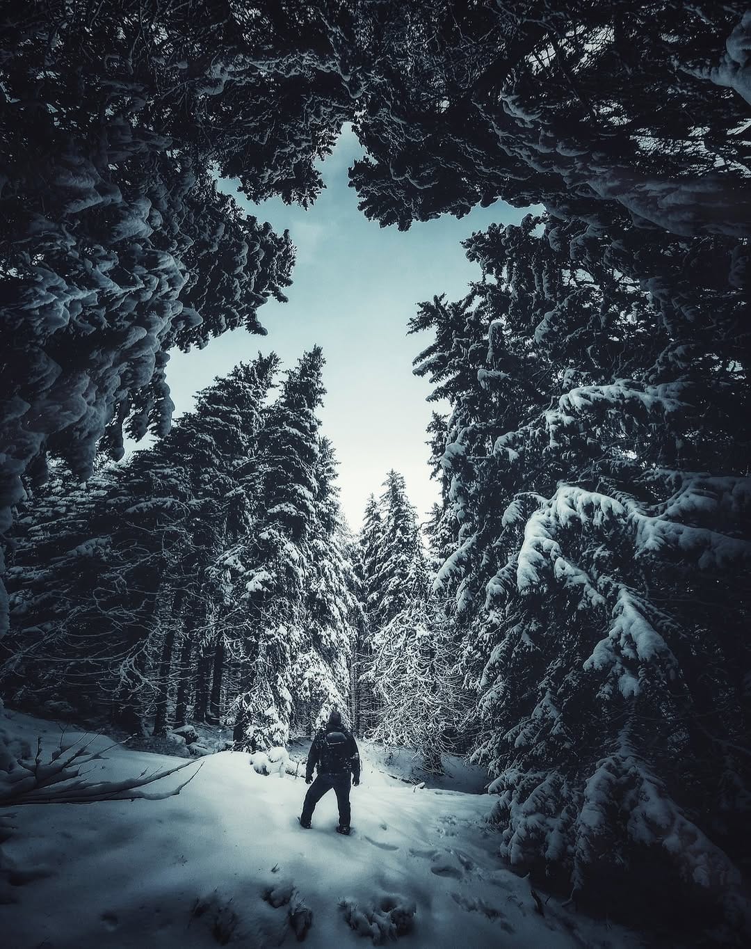 Post 5 by mobilephotography on Instagram (image)