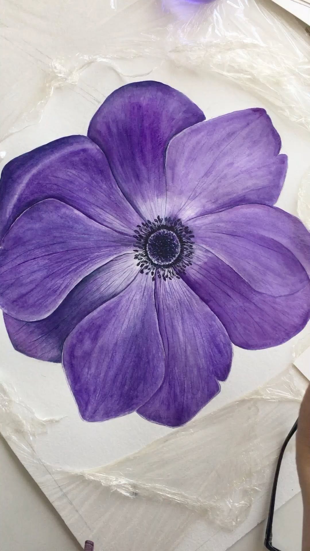 Post 9 by Suzan Süsem Çaylak on Instagram (video)