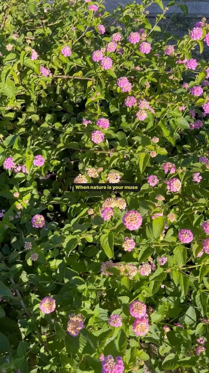 Post 10 by Resina Skincare from nature🌿Laboratorio cosmetico on Instagram (video)
