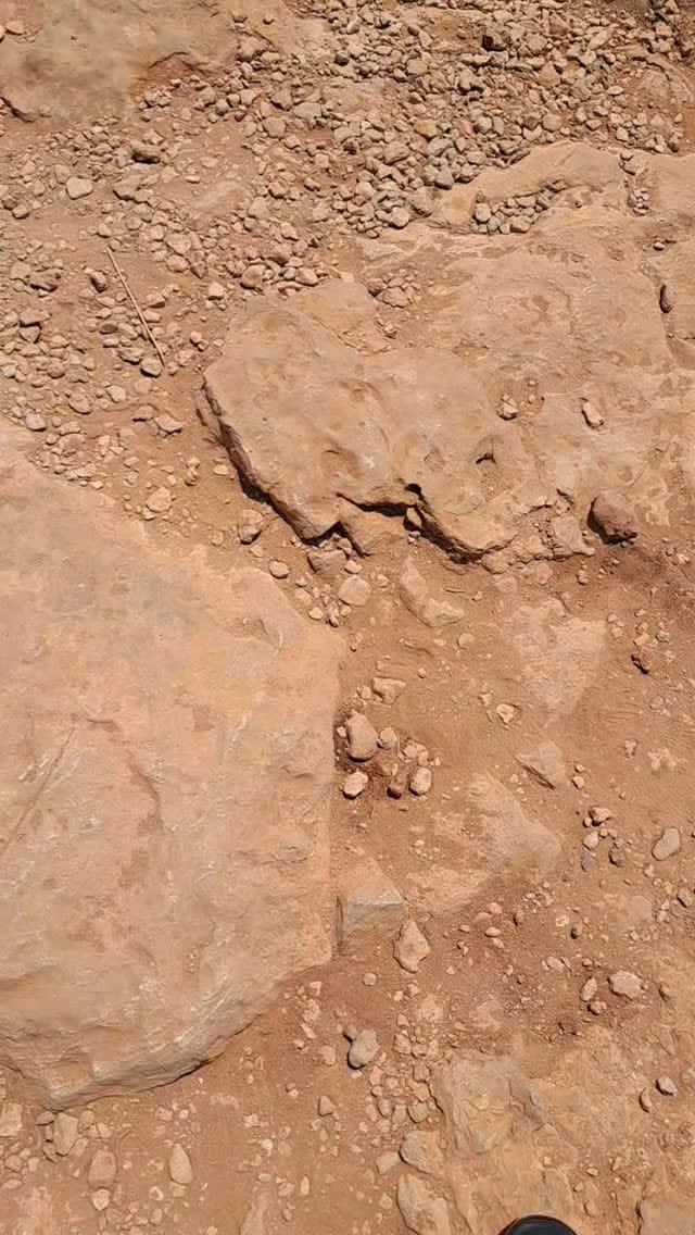 Post 6 by Menard Jean-Philippe on Instagram (video)