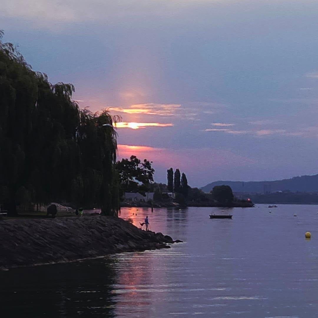Post 6 by Paola Frossard on Instagram (image)