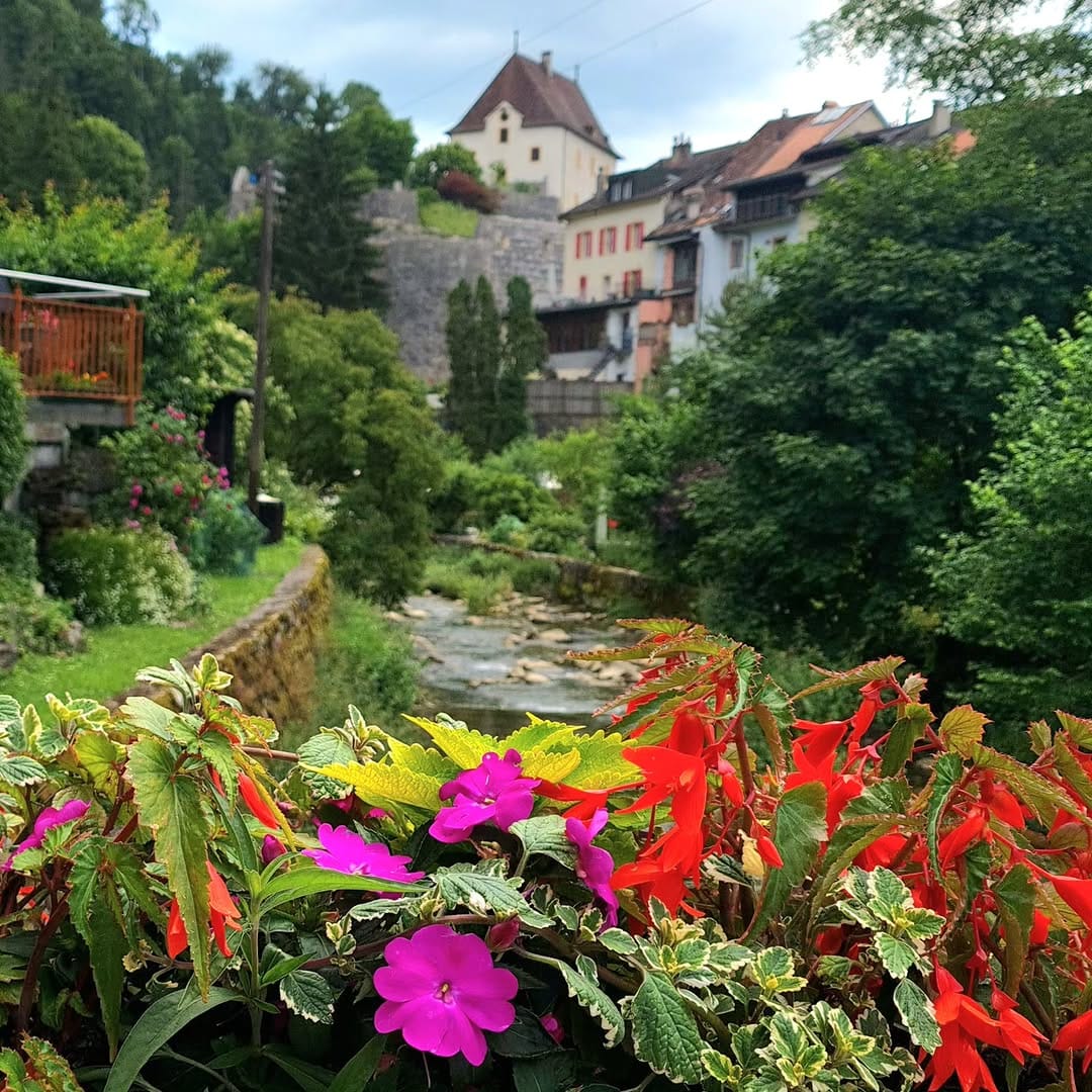 Post 5 by Paola Frossard on Instagram (image)
