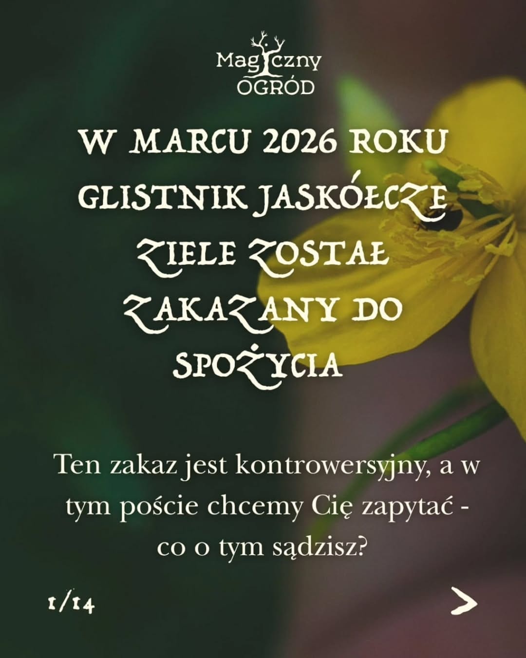 Post 9 by Sklep zielarski & olejki eteryczne on Instagram (carousel)