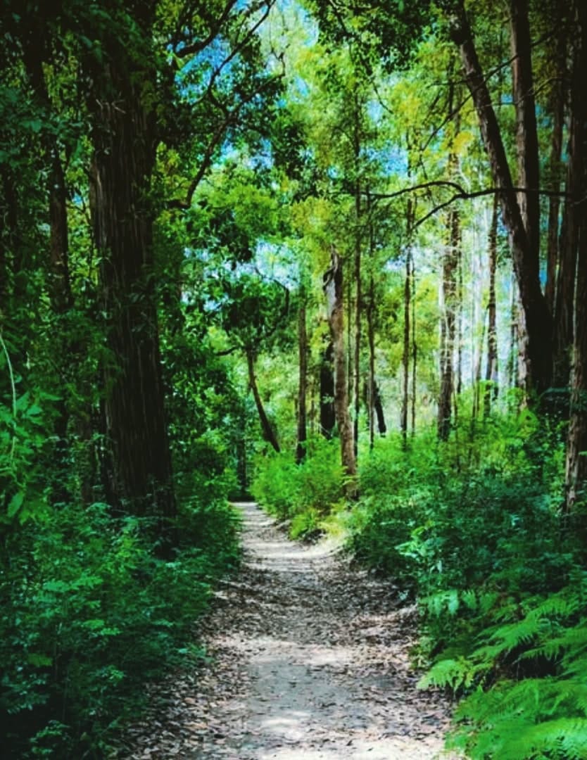 Post 7 by Munira hathi on Instagram (image)