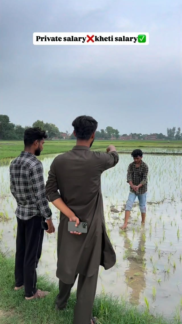 Post 4 by ALI SHEIKH on Instagram (video)