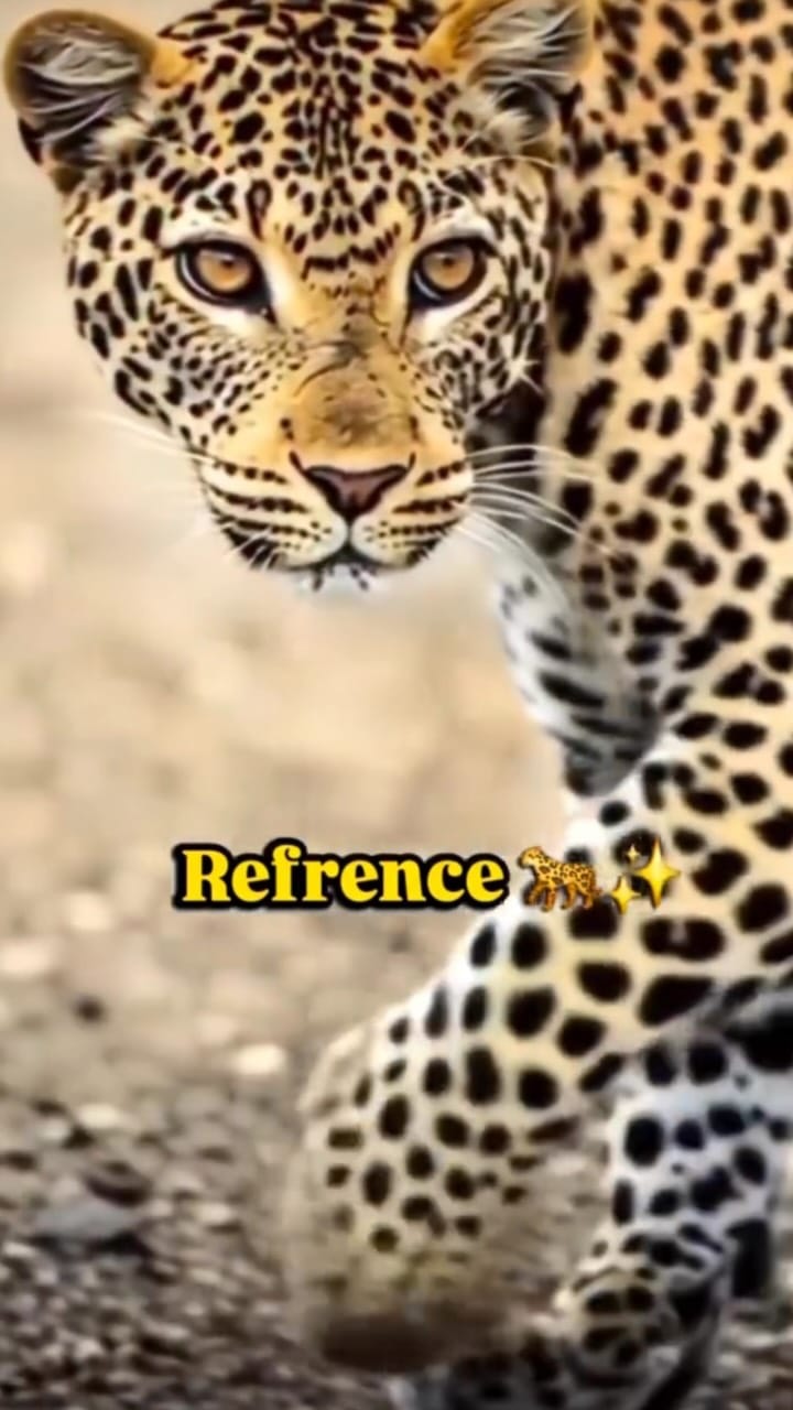 Post 6 by Naushin_arora on Instagram (video)