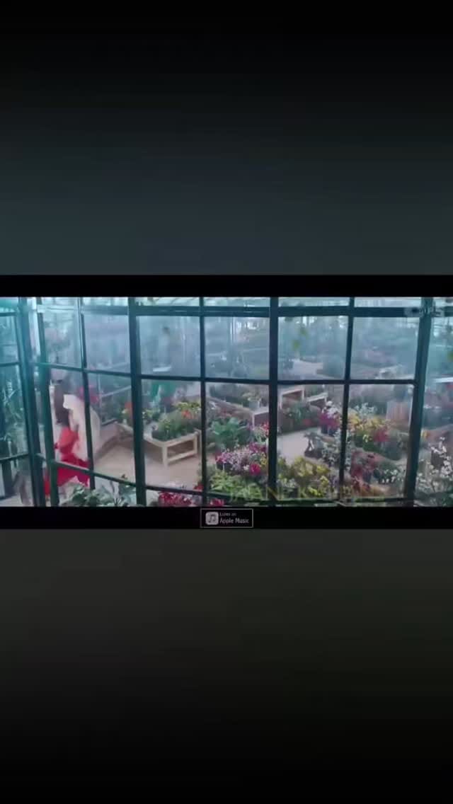 Post 4 by Tune Heart 💗 on Instagram (video)