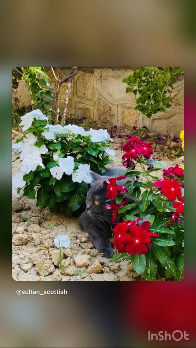 Post 1 by M.Emin ERGENE on Instagram (video)