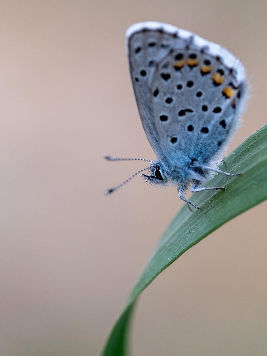 Post 7 by M.Emin ERGENE on Instagram (image)