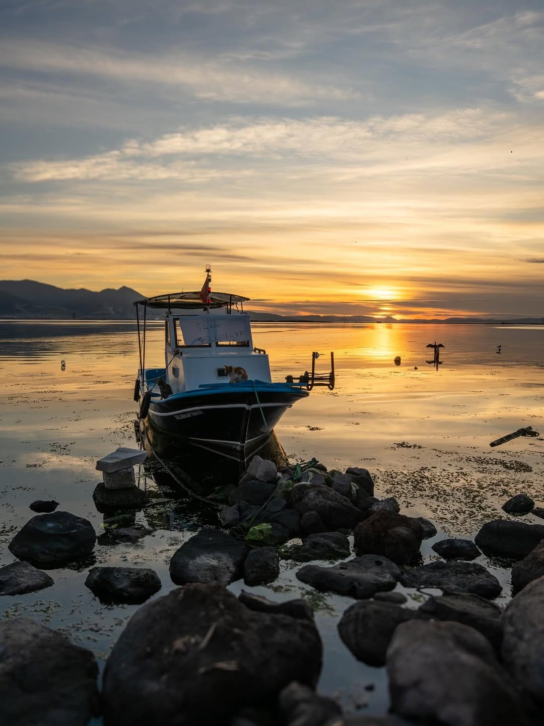 Post 10 by M.Emin ERGENE on Instagram (image)