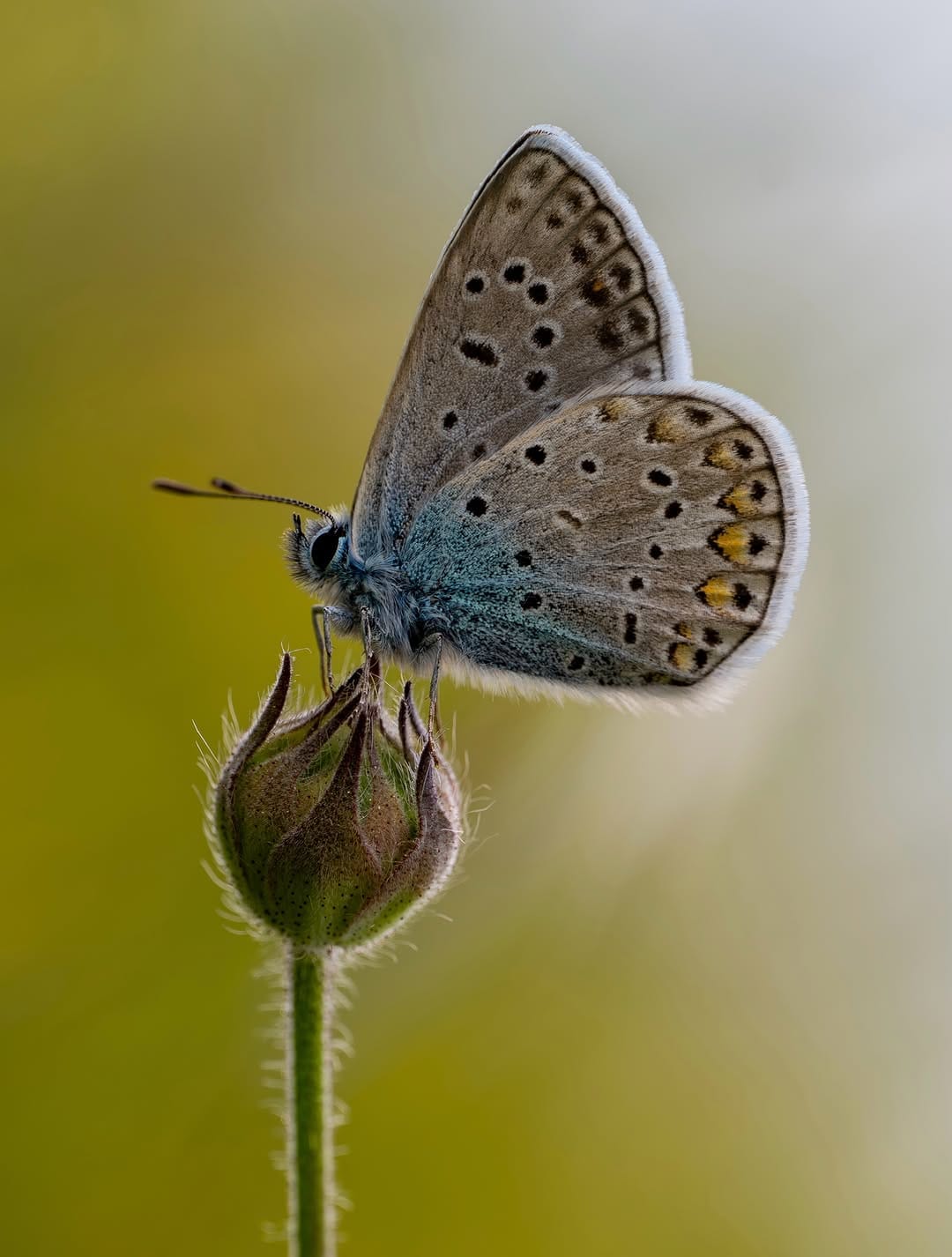 Post 2 by M.Emin ERGENE on Instagram (image)