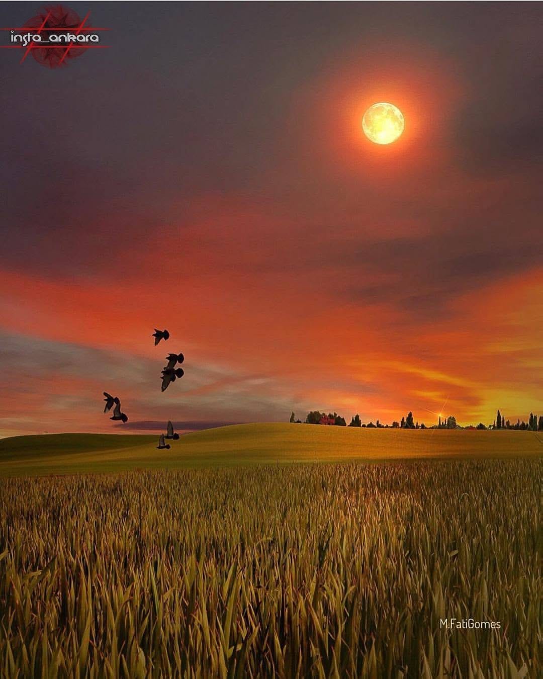 Post 3 by Ankara'dan Dunyaya Ne Varsa on Instagram (image)