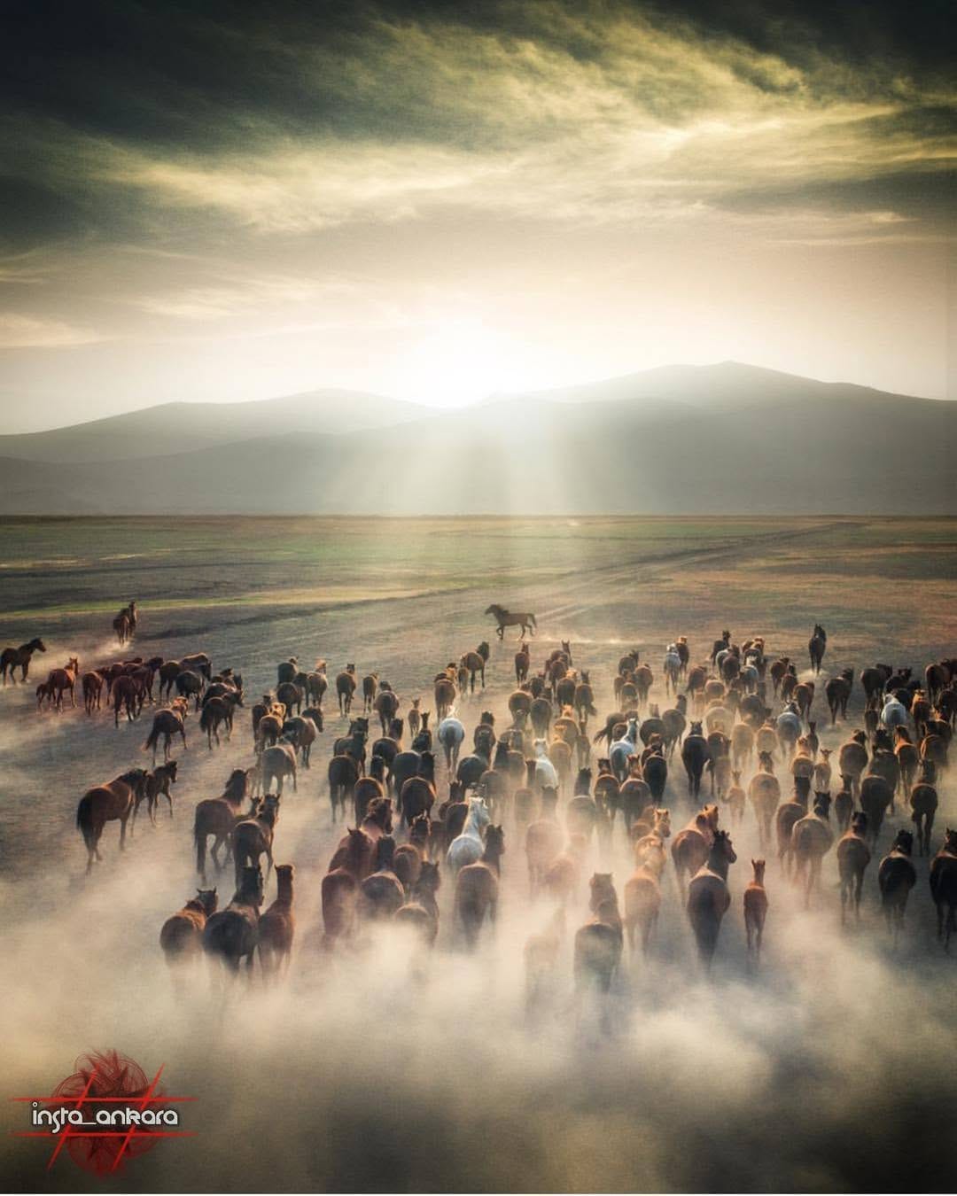 Post 9 by Ankara'dan Dunyaya Ne Varsa on Instagram (image)