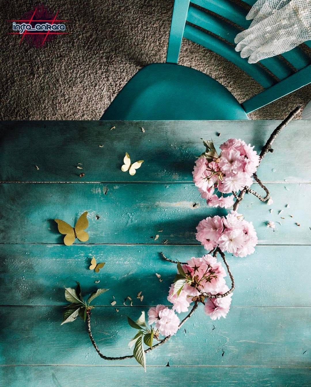 Post 6 by Ankara'dan Dunyaya Ne Varsa on Instagram (image)