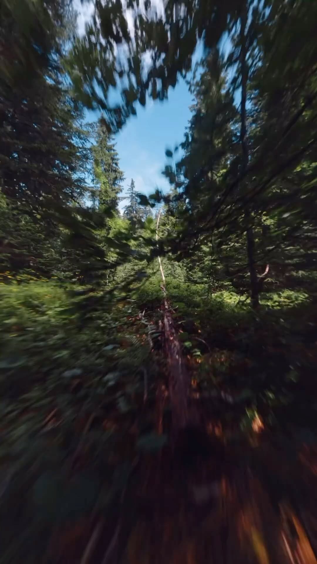 Post 10 by Jan on Instagram (video)