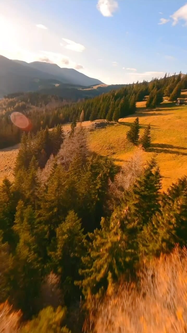 Post 4 by Jan on Instagram (video)