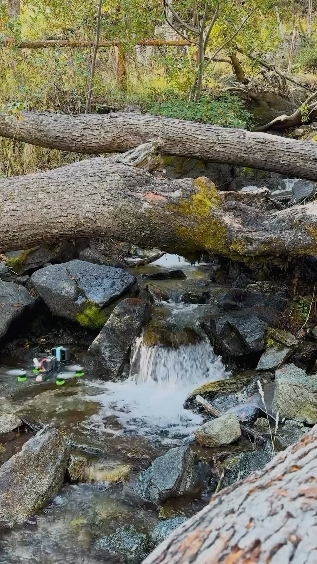 Post 9 by Jan on Instagram (video)
