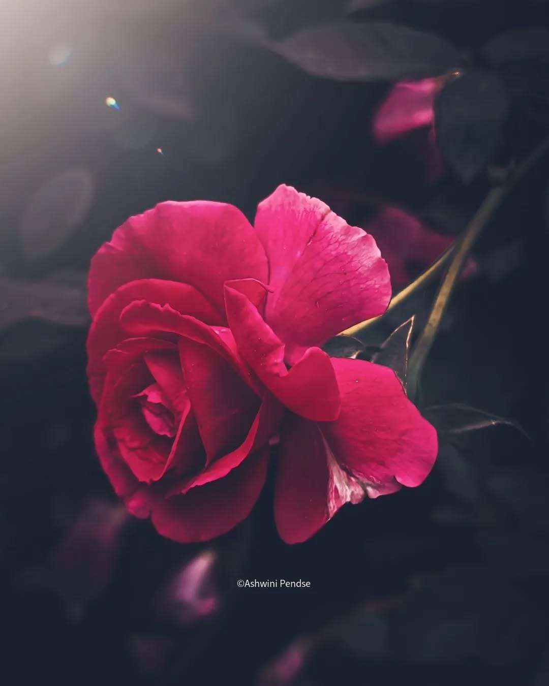 Post 10 by Ashwini Kelkar Pendse on Instagram (carousel)