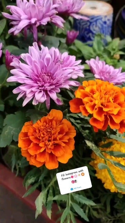Post 9 by Ashwini Kelkar Pendse on Instagram (video)