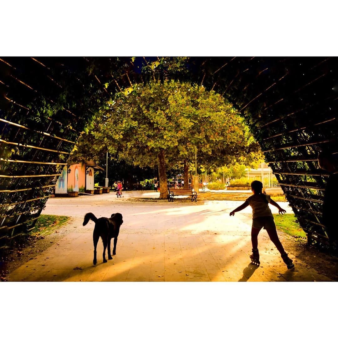 Post 5 by Ayça Şahin Uzunoğlu on Instagram (image)