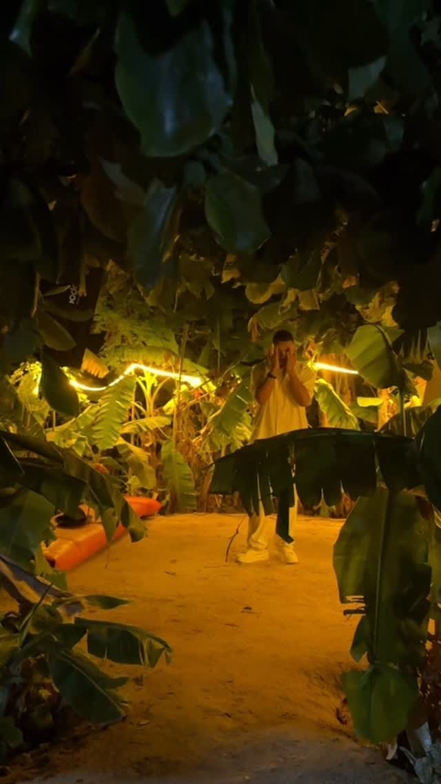 Post 4 by Sedd on Instagram (video)