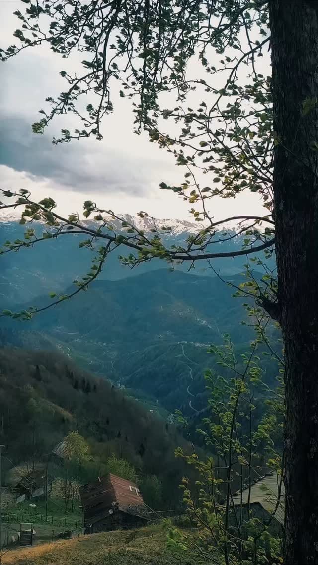 Post 4 by Yusuf İpekçi on Instagram (video)