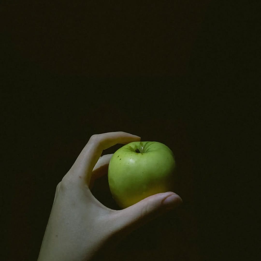 Post 6 by Zeynep Kocamaz-Öztürk on Instagram (image)