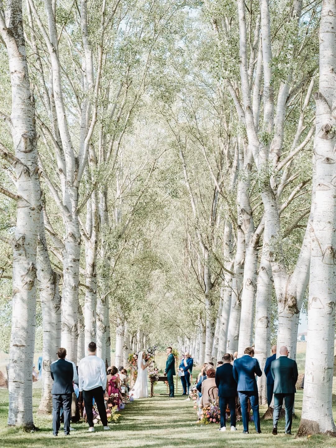 Post 6 by Chiara Masini Luccetti on Instagram (carousel)