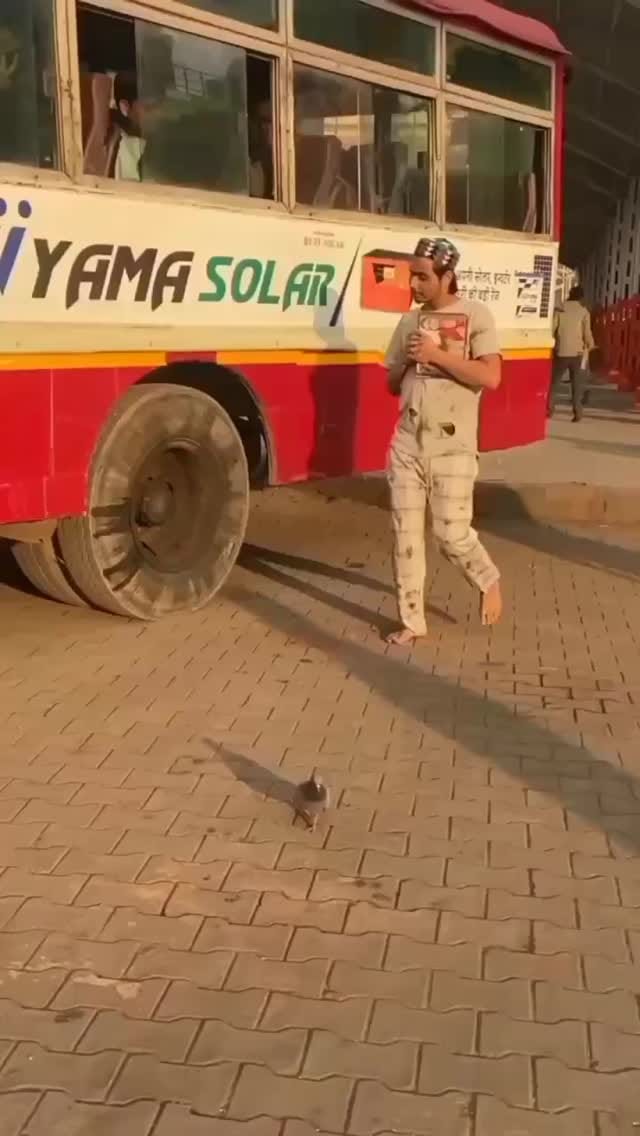 Post 5 by Mohd Sameer Saifi on Instagram (video)