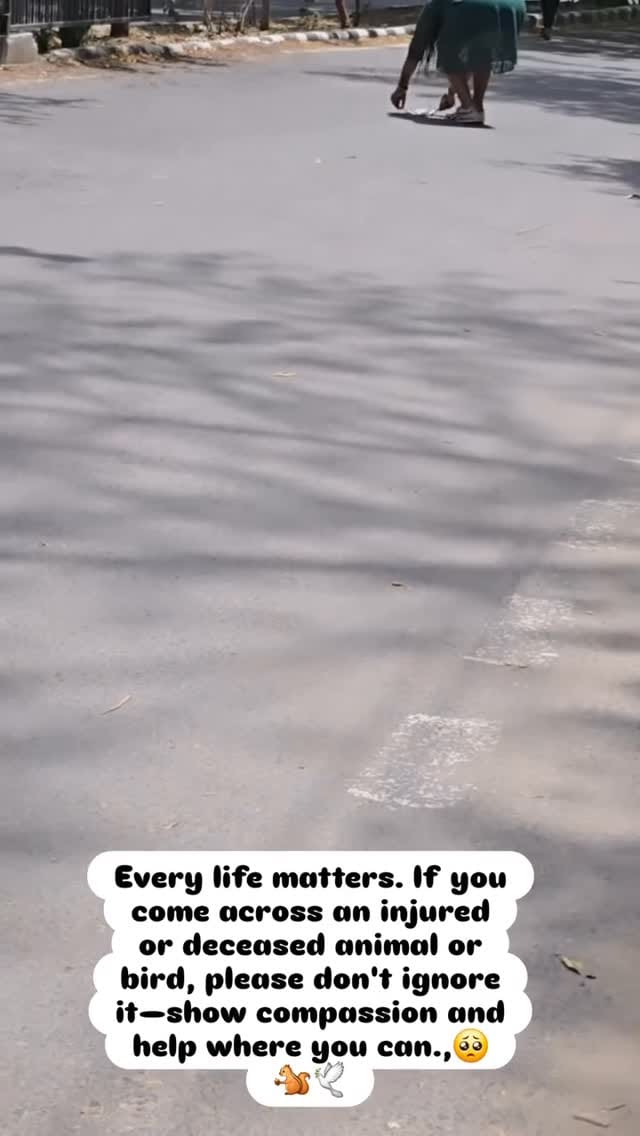 Post 5 by ashmeeta on Instagram (video)