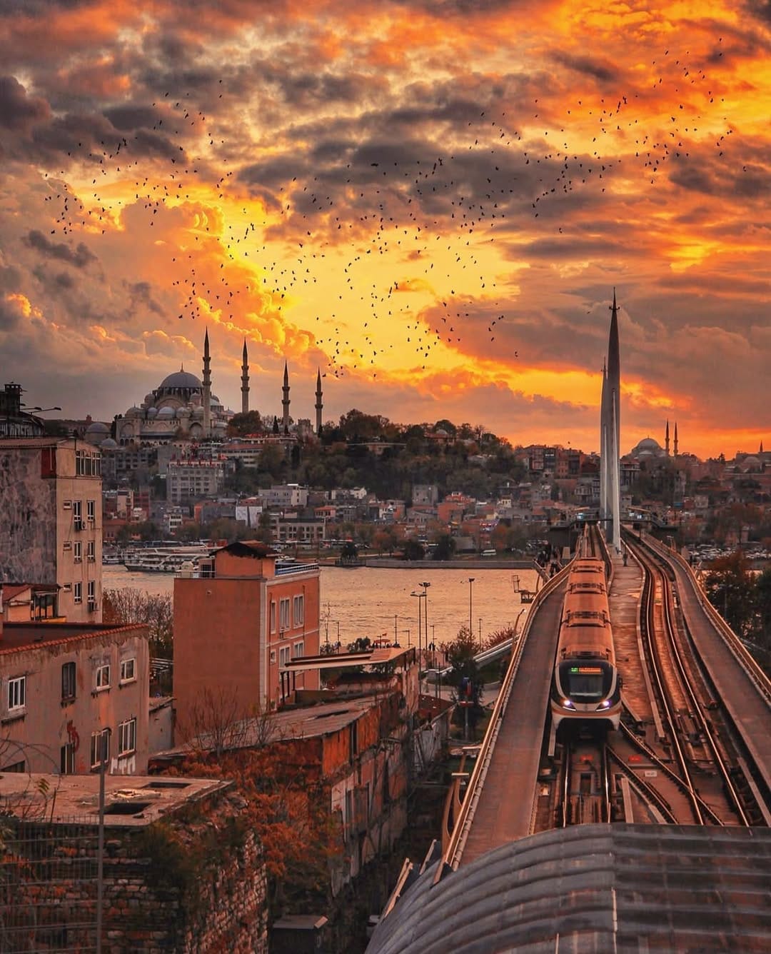Post 6 by Mehmet Ali Şahin on Instagram (image)