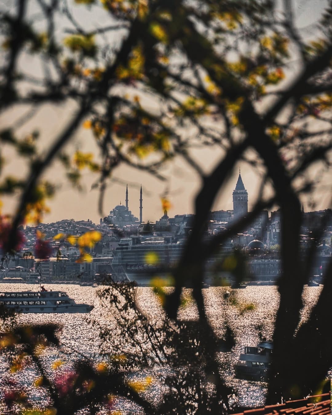 Post 7 by Mehmet Ali Şahin on Instagram (image)