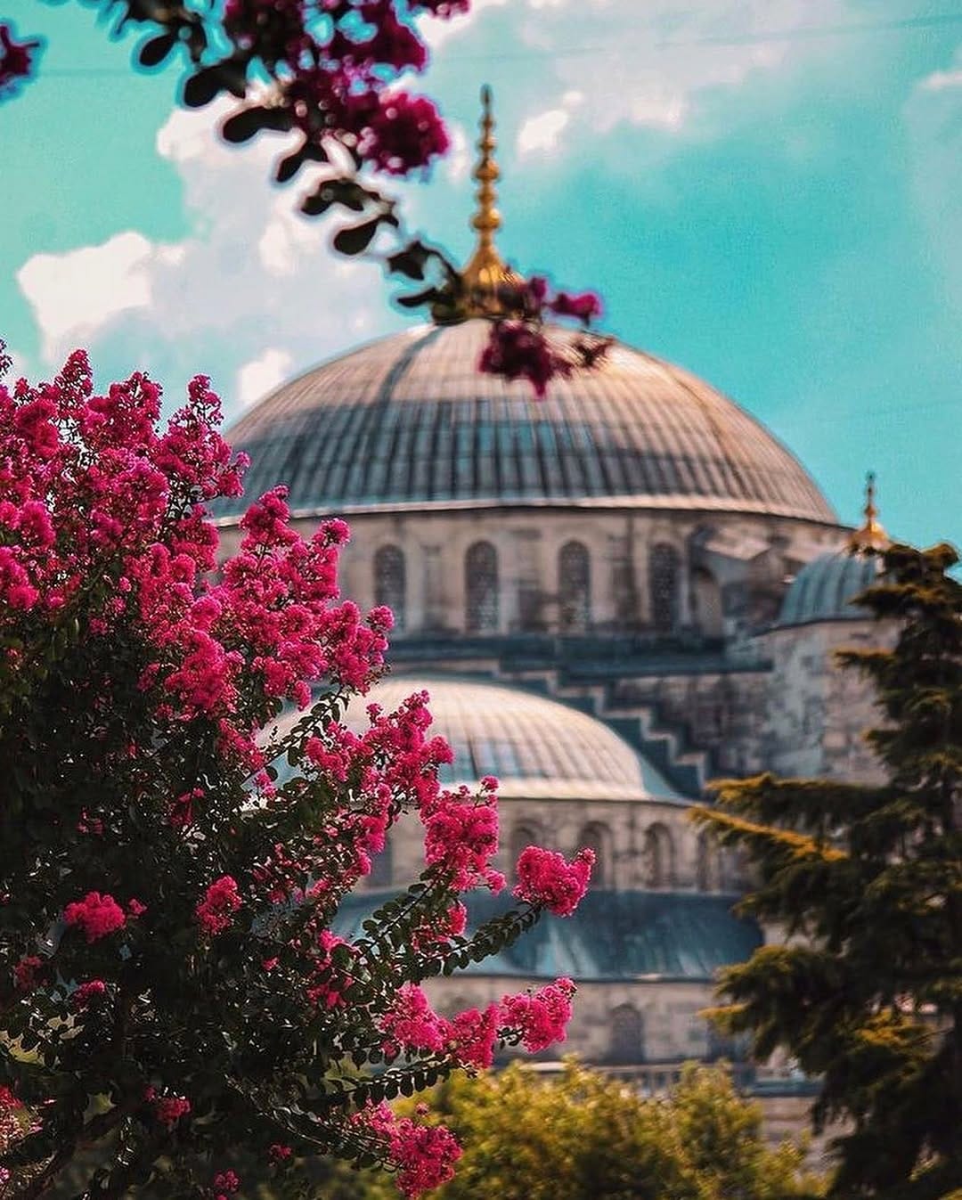 Post 10 by Mehmet Ali Şahin on Instagram (carousel)